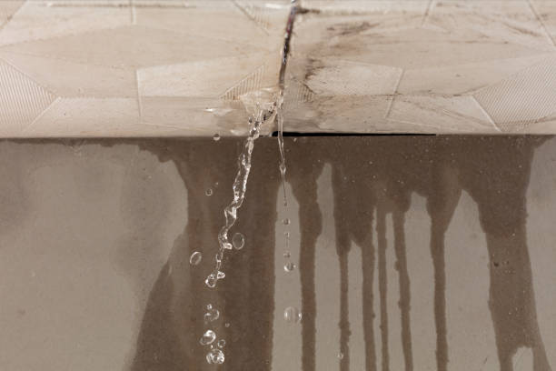 Professional Sewage Cleanup technician working in Allen Park, MI